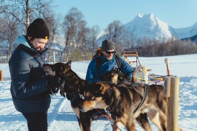 Fun & Easy Dog Sledding Adventure - Early Bird Tour - FAQs