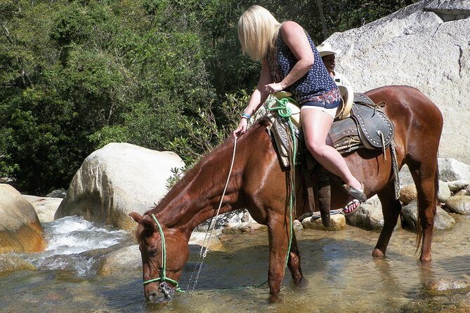 Fun Horseback Tour in Mismaloya - Guides and Group Size