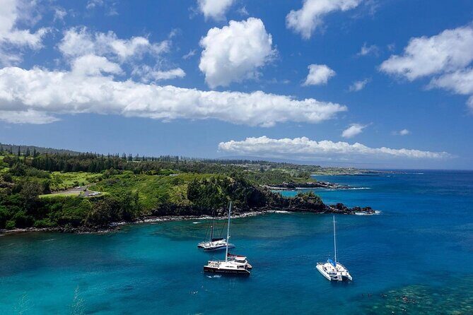 Fun! Open-Air Banyan Tree Forest & Blowhole Sight-Seeing MauiTour - Who Should Consider This Tour?