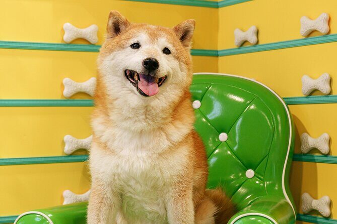 Fun Selfie Experience in Calgary - The Experience: What to Expect