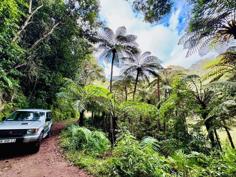 Funchal: 4x4 Jeep Trip to the East and Northeast of Madeira - Why This Tour Stands Out