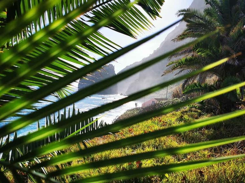 Funchal: 4x4 Jeep Trip to the East and Northeast of Madeira - Who Should Consider This Tour?