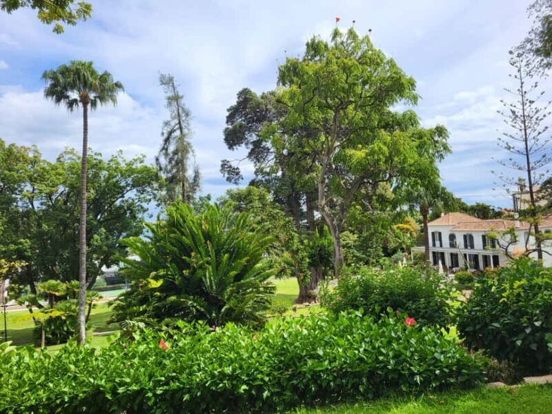 Funchal: A walk in a secret tropical garden - A Gentle Introduction to Madeira’s Hidden Garden Treasures