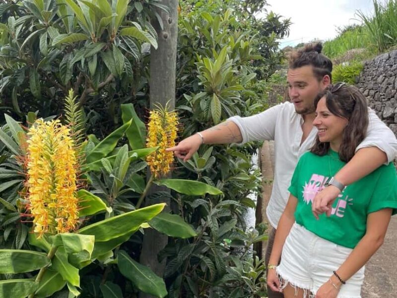 Funchal: A walk in a secret tropical garden - The Sum Up