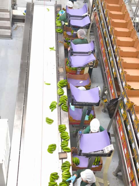 Funchal Agriculture Green Tour - What Makes This Tour Stand Out