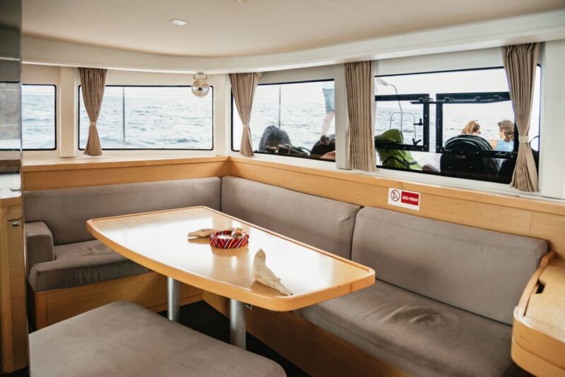 Funchal Bay: Dolphin & Whale Watch Luxury Catamaran Cruise - Is It Worth the Price?