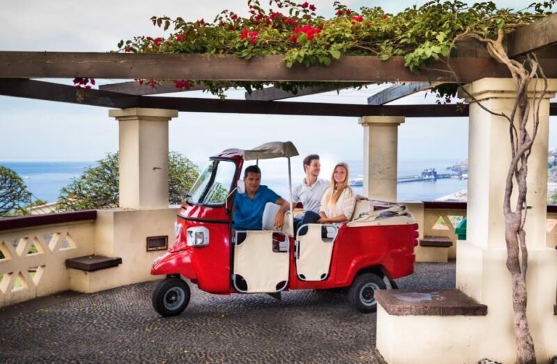 Funchal: Best Viewpoints Guided Tuk Tuk Tour - Key Points