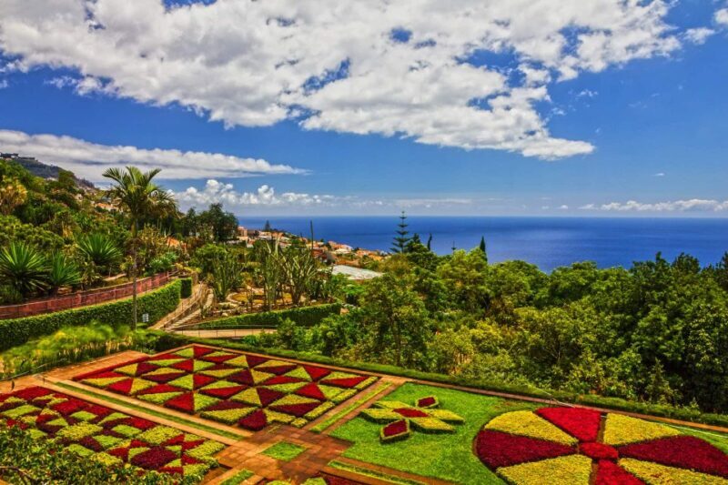 Funchal: Botanical Garden and Old Town Private Tuk-Tuk Tour - The Value of This Tour