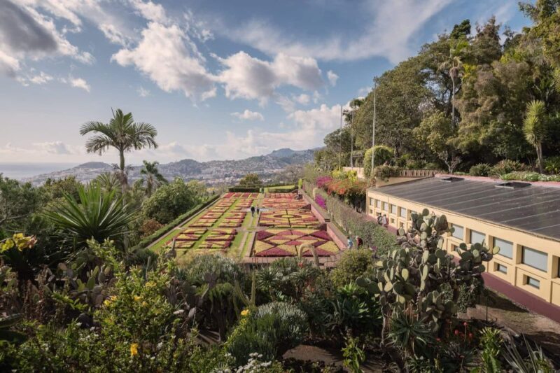 Funchal: Botanical Garden and Old Town Private Tuk-Tuk Tour - Transport and Comfort