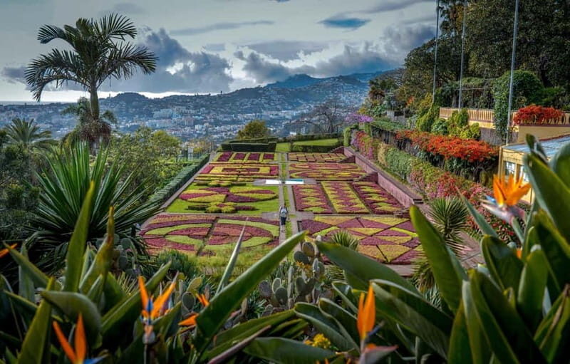 Funchal: Botanical Garden & Old Town Tour by TukTuk (1h45) - The Value of This Tour