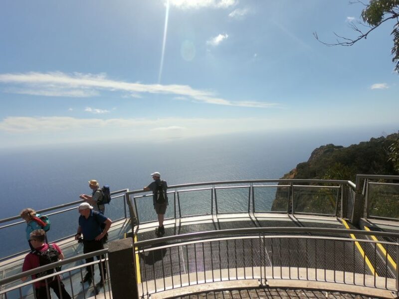 Funchal: Cabo Girão, Wines Tasting and Dolphins Watching - Who Is This Tour Best Suited For?