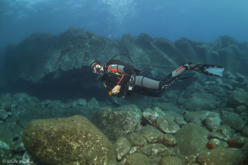Funchal: Certified Scuba Diving, Guided Tour - What’s the Tour All About?