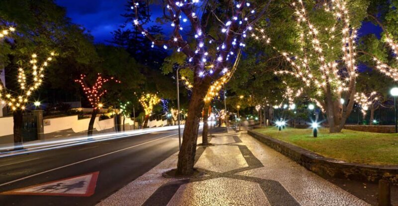 Funchal: Christmas Lights Guided Tuk-Tuk Tour - The Experience in Detail