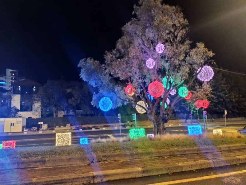 Funchal: Christmas Lights Sightseeing Night Tour - What Do the Reviews Say?