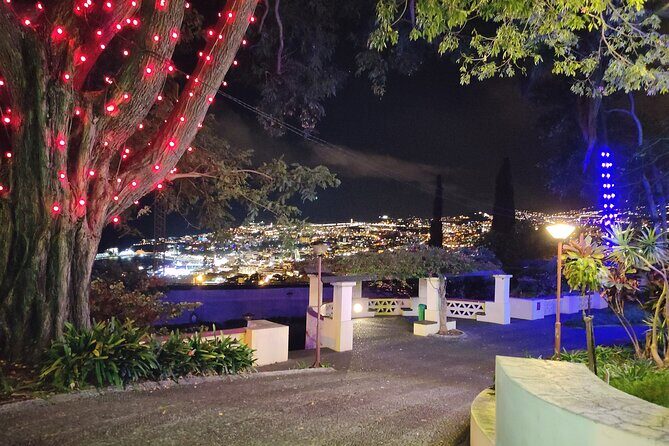 Funchal Christmas lights sightseeing night tour - The Itinerary in Detail