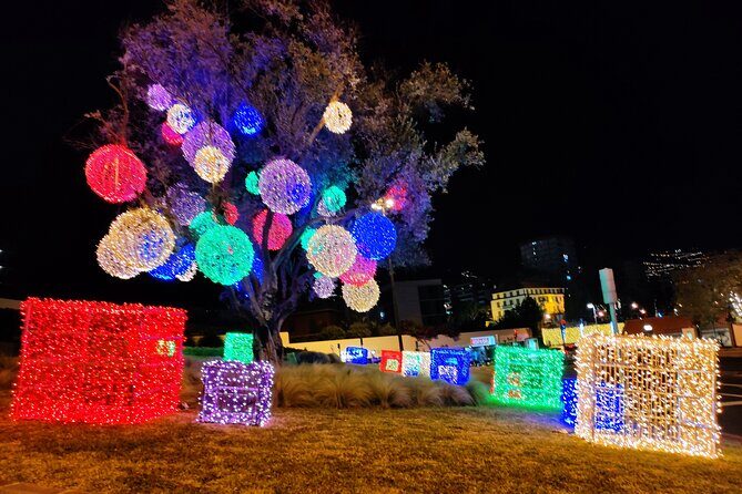 Funchal Christmas lights sightseeing night tour - Who Should Consider This Tour?