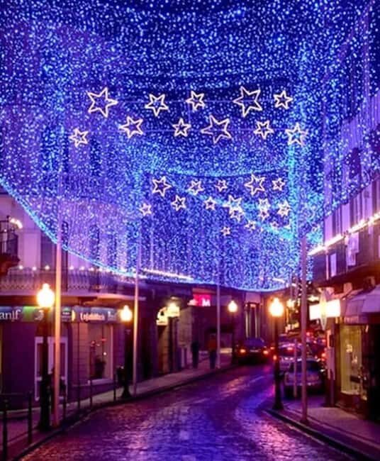 Funchal: Christmas Lights Tuk-Tuk Tour Experience by MadTuk - Key Points