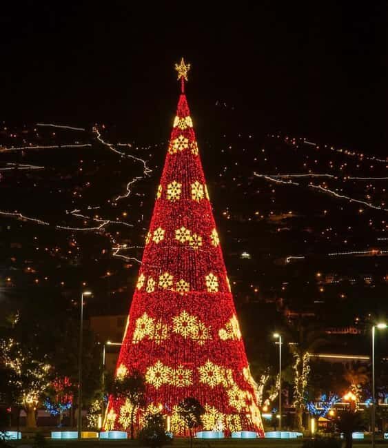 Funchal: Christmas Lights Tuk-Tuk Tour Experience by MadTuk - A Deep Dive into the Experience