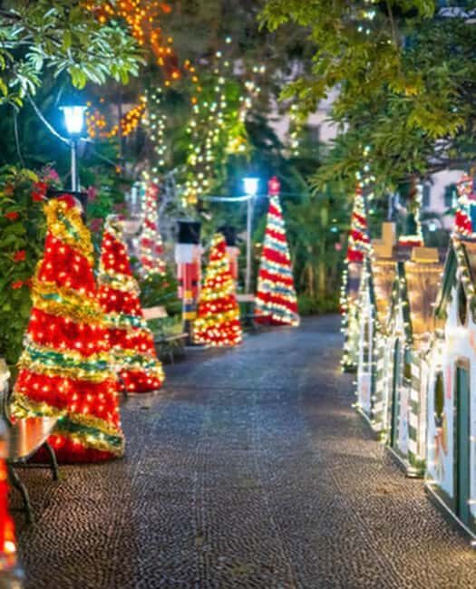 Funchal: Christmas Lights Tuk-Tuk Tour Experience by MadTuk - The Itinerary Breakdown & What You’ll Experience