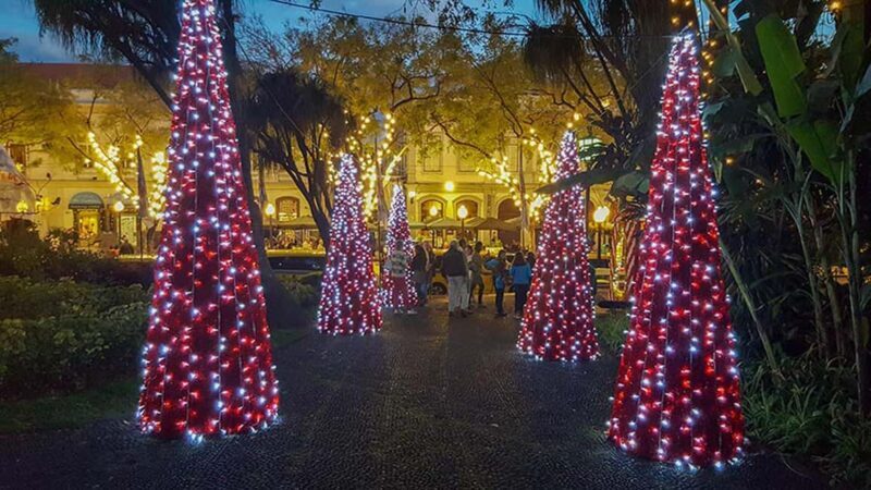 Funchal: Christmas Lights Tuk-Tuk Tour Experience by MadTuk - FAQs