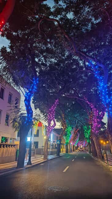 Funchal: Christmas Lights Tuk Tuk Tour - Key Points