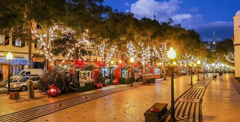 Funchal: Christmas Lights Tuk Tuk Tour - What to Expect from the Tour