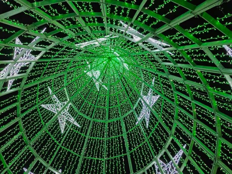 Funchal: Christmas Lights Tuk Tuk Tour - Final Thoughts