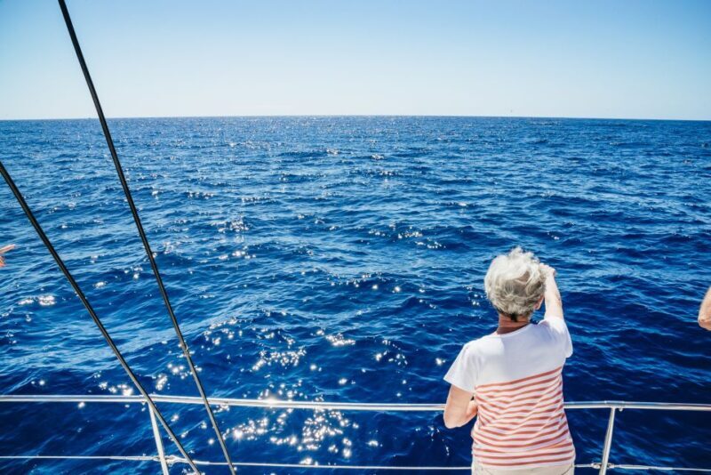 Funchal: Dolphin and Whale Watching by Luxury Catamaran - What to Expect on the Tour