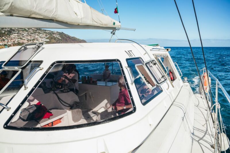 Funchal: Dolphin and Whale Watching by Luxury Catamaran - Is It Worth the Price?