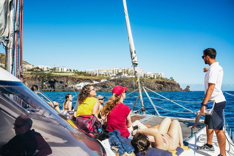 Funchal: Dolphin and Whale Watching by Luxury Catamaran - Cabo Girão stop: the reason many people book in the first place