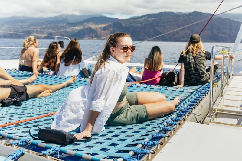 Funchal: Dolphin and Whale Watching Catamaran Cruise - What you might actually see: dolphins, whales, turtles, and the seasonal odds