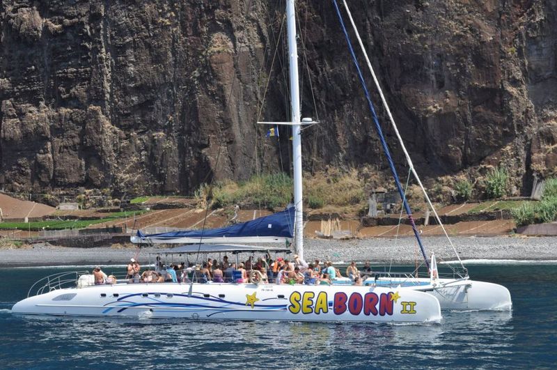 Funchal: Dolphin and Whale Watching Catamaran Cruise - Cabo Girão water time: swim in summer, snorkel in cooler seasons