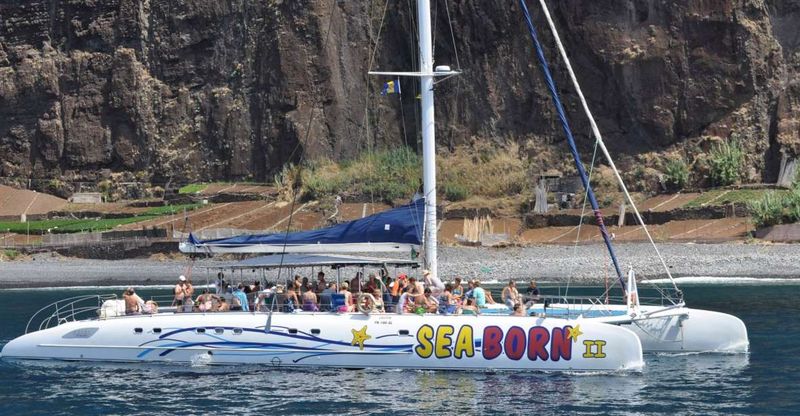 Funchal: Dolphin and Whale Watching Catamaran Cruise - Onboard comfort: stable catamaran, real space, and places to hang out