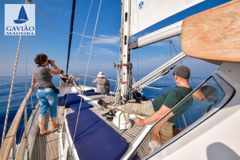 Funchal: Dolphin and Whale Watching Sailing Trip - FAQ