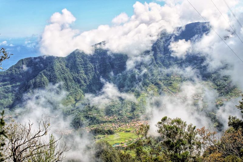 Funchal: Enchanted Terraces, Porto do Moniz & Fanal 4WD Tour - Fanal Forest Walk: Laurisilva Vibes and the Witch Tree Moment