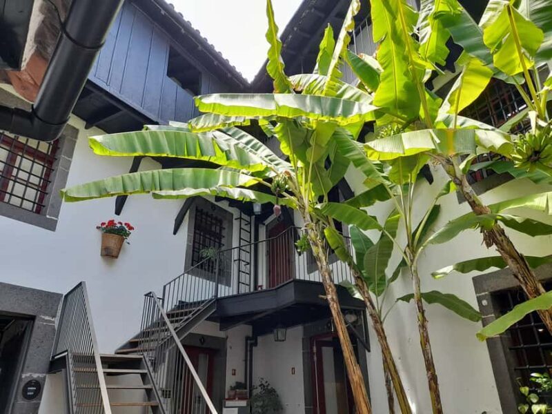 Funchal Flavours - An In-Depth Look at the Funchal Flavours Tour