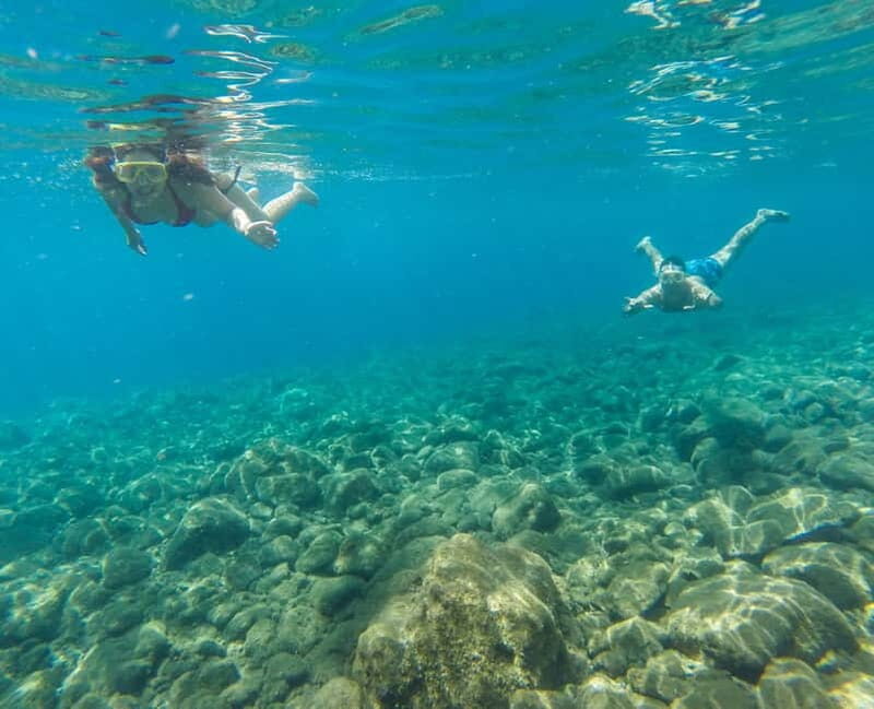 Funchal: Full-Day Fajãs Route Madeira Coastal Tour w/ Lunch - Who Will Love This Tour?