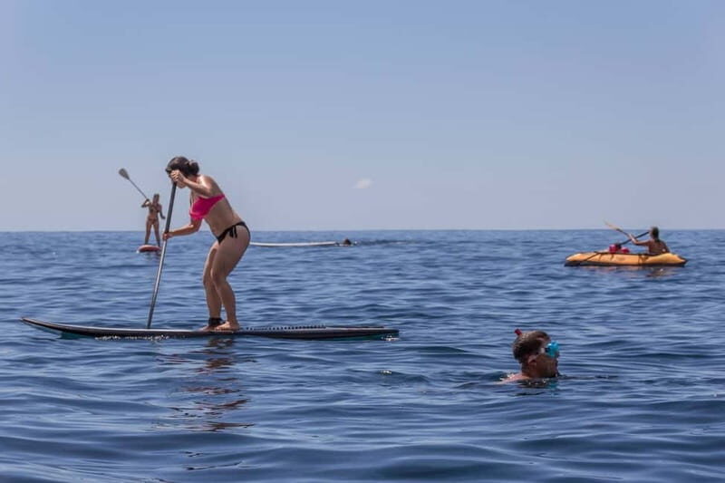 Funchal: Full-Day Fajãs Route Madeira Coastal Tour w/ Lunch - FAQ