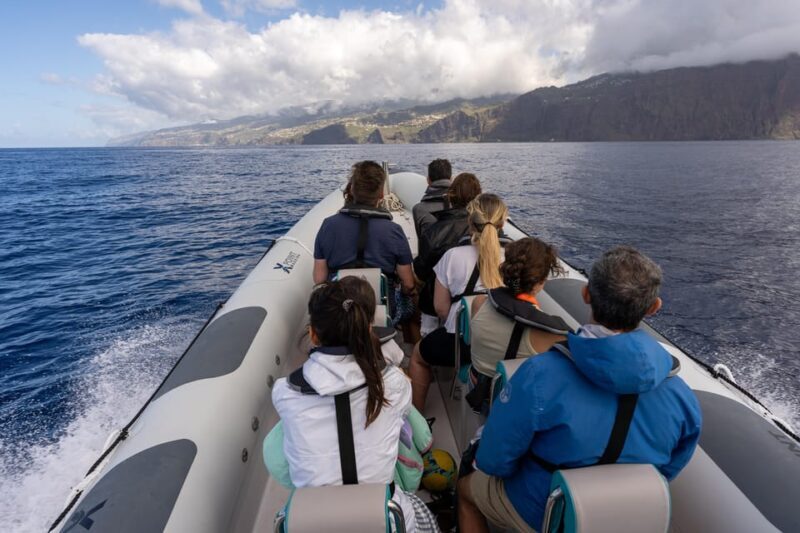 Funchal: Guarantee Wild Dolphin&Whale Watching by RIB - Summary