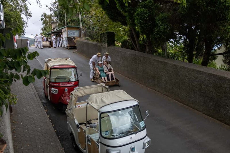 Funchal: Guided Tuk Tuk Tour to Toboggan Rides & Old Town - Key Points