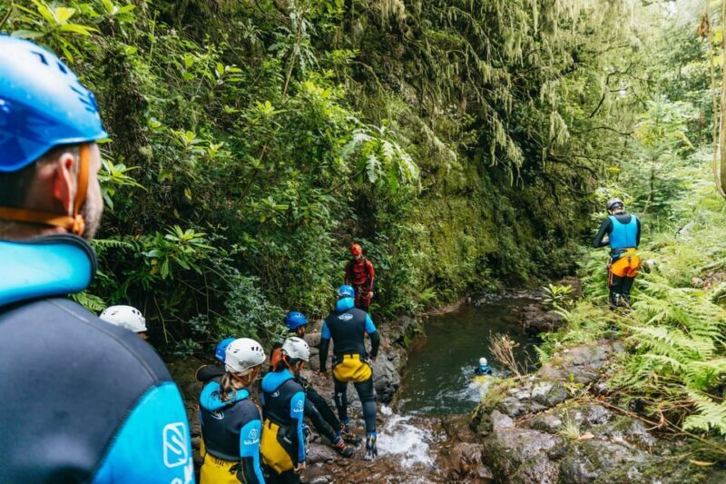 Funchal: Half-Day Beginner-Friendly Canyoning Experience - How This Tour Fits In Your Madeira Trip
