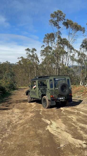 Funchal: Half-Day Jeep Tour with Cabo Girão Skywalk - Who Should Consider This Tour?
