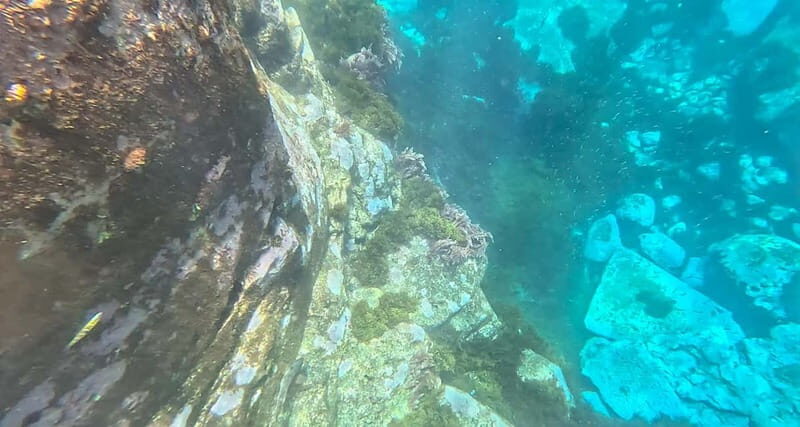 Funchal: Kayak and Snorkel Tour to Garajau NR - Practical Details and Value