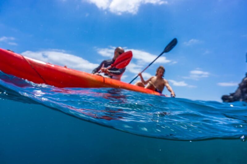 Funchal: KAYAK Rental or Guided tour with snorkeling - Key Points