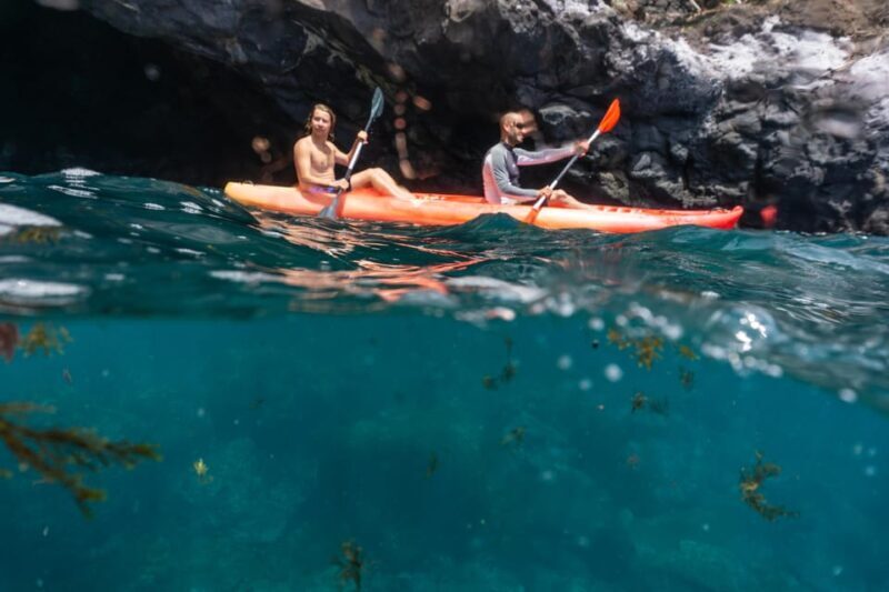 Funchal: KAYAK Rental or Guided tour with snorkeling - What You Can Expect from the Tour