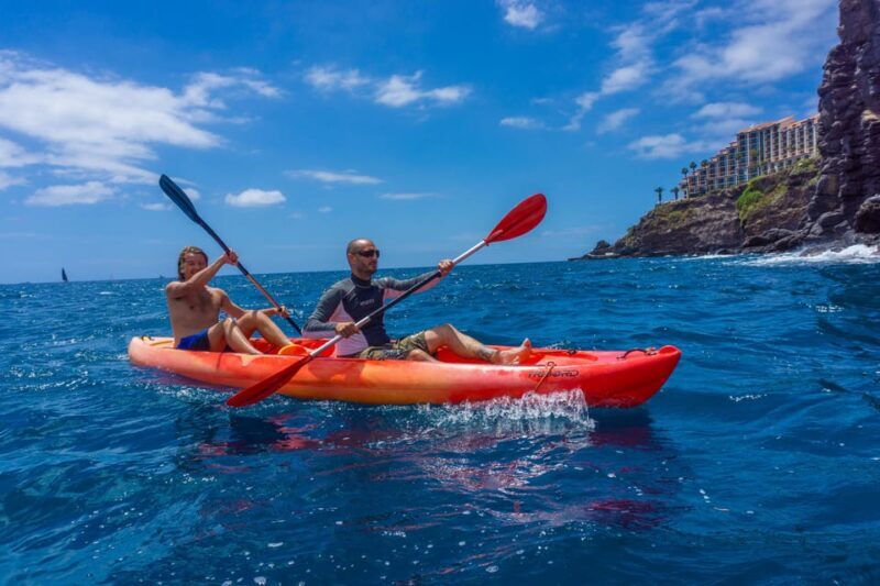 Funchal: KAYAK Rental or Guided tour with snorkeling - Who Will Love This Tour?