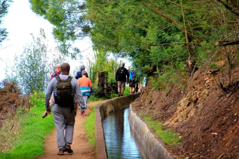 Funchal : Levada do Norte - Guided walk with transport - Why This Tour Stands Out