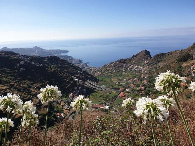 Funchal : Levada do Norte - Guided walk with transport - What to Expect During the Walk
