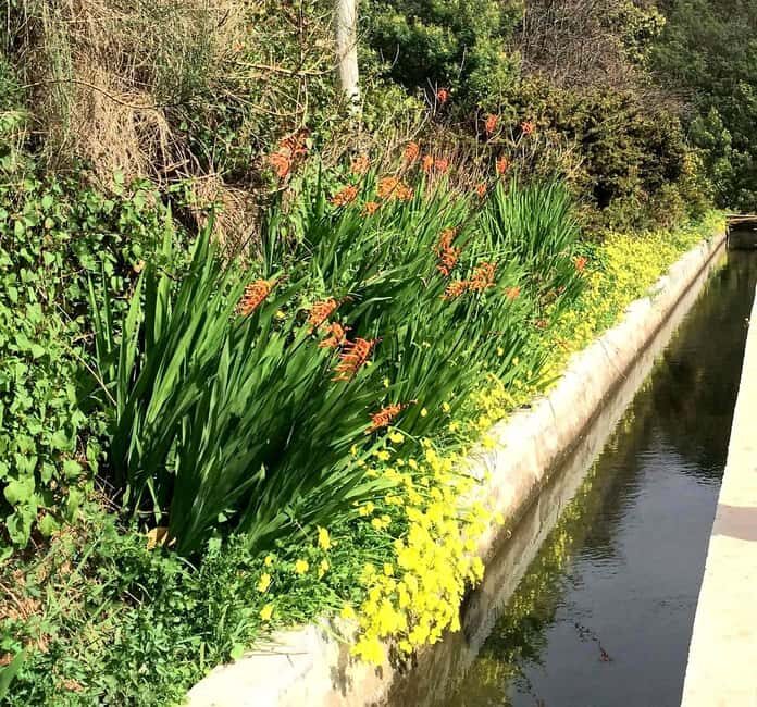 Funchal : Levada do Norte - Guided walk with transport - Final Thoughts