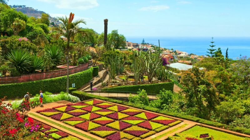 Funchal: Madeira Botanical Garden Tuk-Tuk Tour + Old Town - Funchal: Madeira Botanical Garden Tuk-Tuk Tour + Old Town
